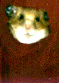 minisuke