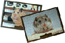 jigsaw puzzle2