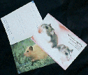 postcard
