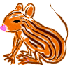 shimakusa mouse